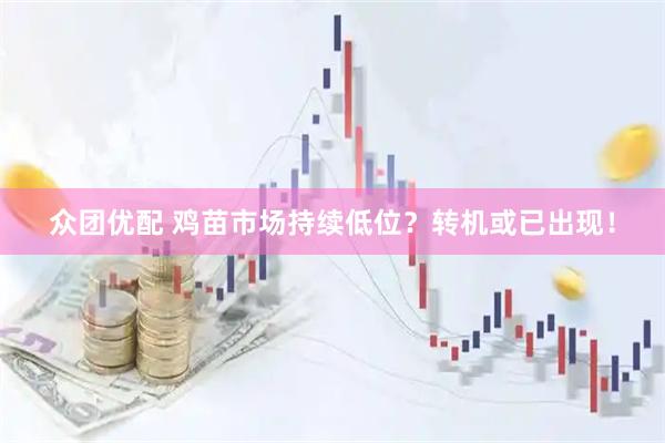 众团优配 鸡苗市场持续低位？转机或已出现！