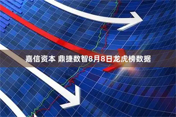 嘉信资本 鼎捷数智8月8日龙虎榜数据
