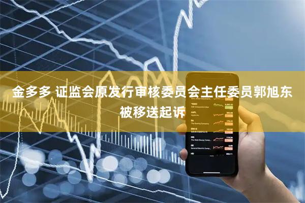 金多多 证监会原发行审核委员会主任委员郭旭东被移送起诉